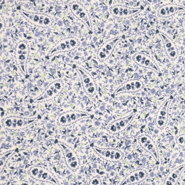 ���� 50�ܥ���ץ��� �ڥ����꡼��