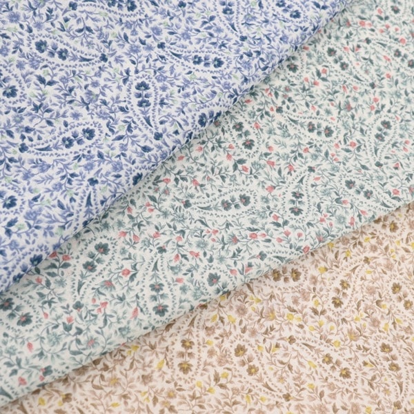 ���� 50�ܥ���ץ��� �ڥ����꡼��