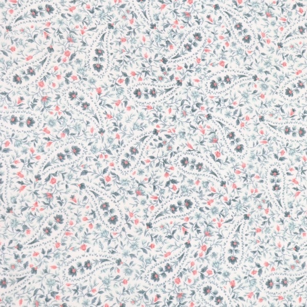 ���� 50�ܥ���ץ��� �ڥ����꡼��