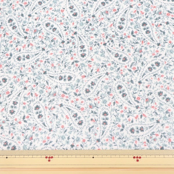 ���� 50�ܥ���ץ��� �ڥ����꡼��