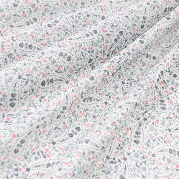 ���� 50�ܥ���ץ��� �ڥ����꡼��