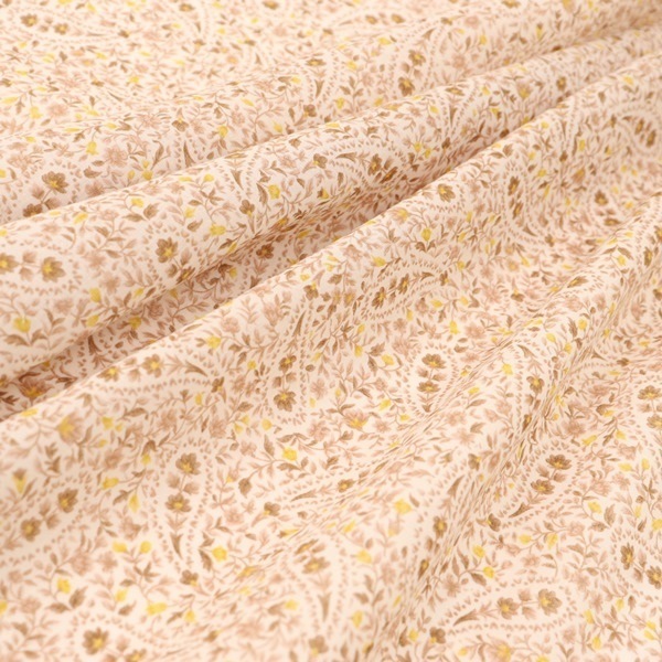 ���� 50�ܥ���ץ��� �ڥ����꡼��