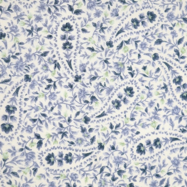 ���� 50�ܥ���ץ��� �ڥ����꡼��