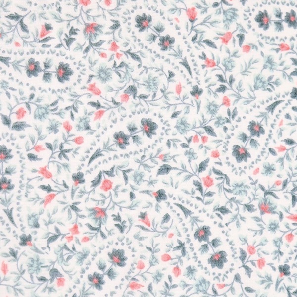 ���� 50�ܥ���ץ��� �ڥ����꡼��