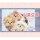 �������⡼�륭�å� �ޥ������ BE �١����� MUCMK-13
