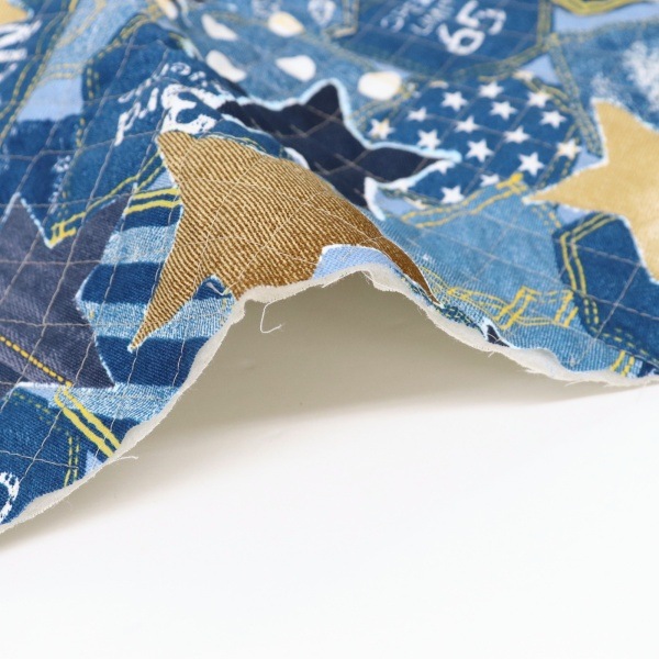 ���� �ǥ˥४�å��� �ڥ���ȡ� 2026 �������� ��50cm���åȥ������� DR2413QC-2