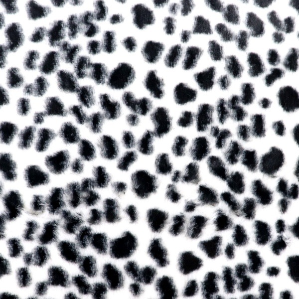 ���� ���̥��˥ޥ�ܥ� ����᥷������ ��W�� 1m���åȥ������� (2026���) 5643-B