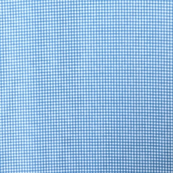 C/S ギンガムチェック キッズ ティッシュケース ラミネート BL1 【公式