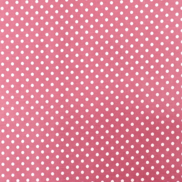 ���� �ɥåȥ���������ߥ͡��� ��50cm���åȥ������� 3701RC-3