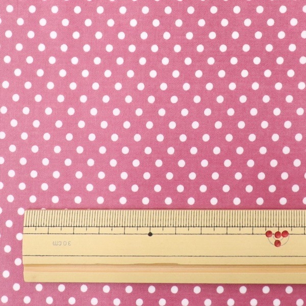 ���� �ɥåȥ���������ߥ͡��� ��50cm���åȥ������� 3701RC-3