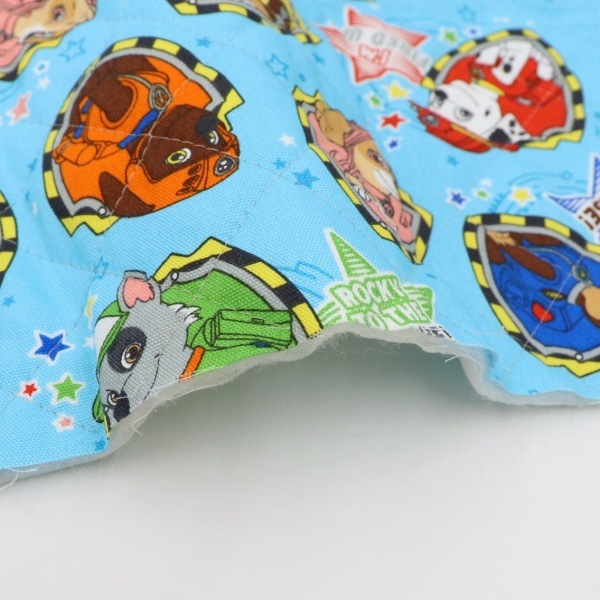  ѥѥ å ڥȡ ѥѥȥ å 50cmåȥ GQ-4621DC-1A