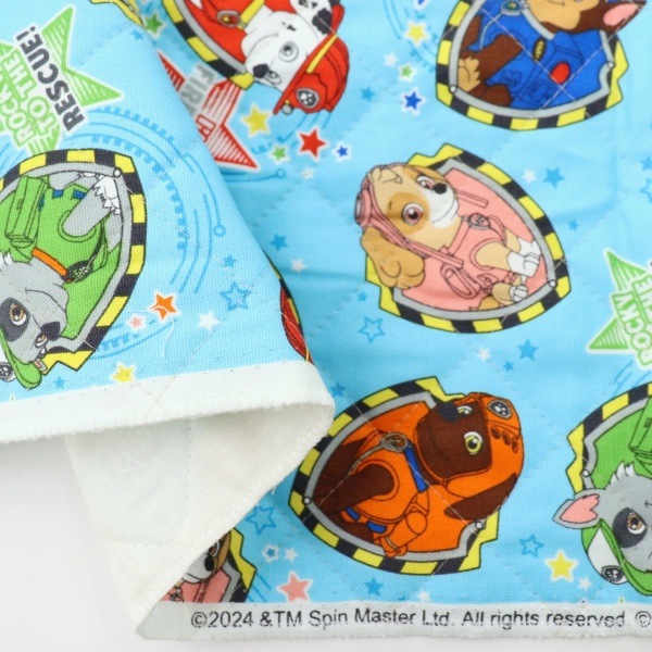  ѥѥ å ڥȡ ѥѥȥ å 50cmåȥ GQ-4621DC-1A