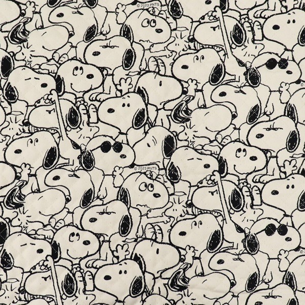 ���� ���̡��ԡ� ���å��� �ڥ���ȡ� ��Υȡ����� ������ ��50cm���åȥ������� DR825102