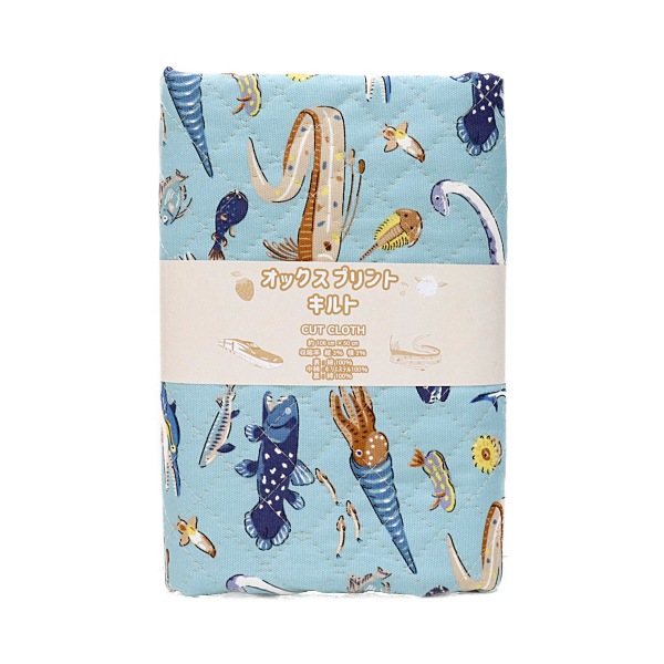 ���� ��������ʪ���å��� �ڥ���ȡ� 2026 �������� ��50cm���åȥ������� DR2413QC-5