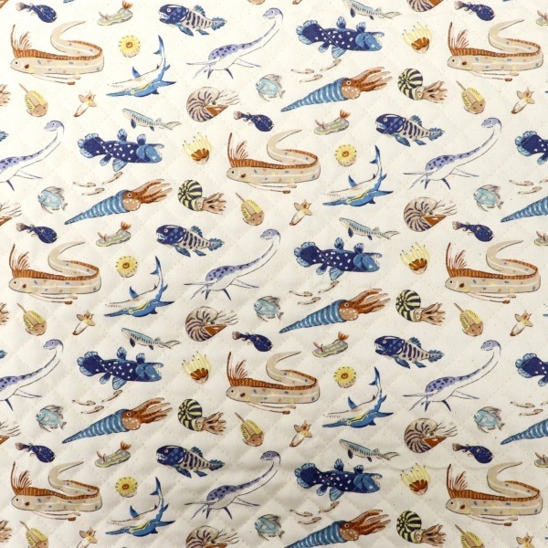 ���� ��������ʪ���å��� �ڥ���ȡ� 2026 �������� ��50cm���åȥ������� DR2413QC-5