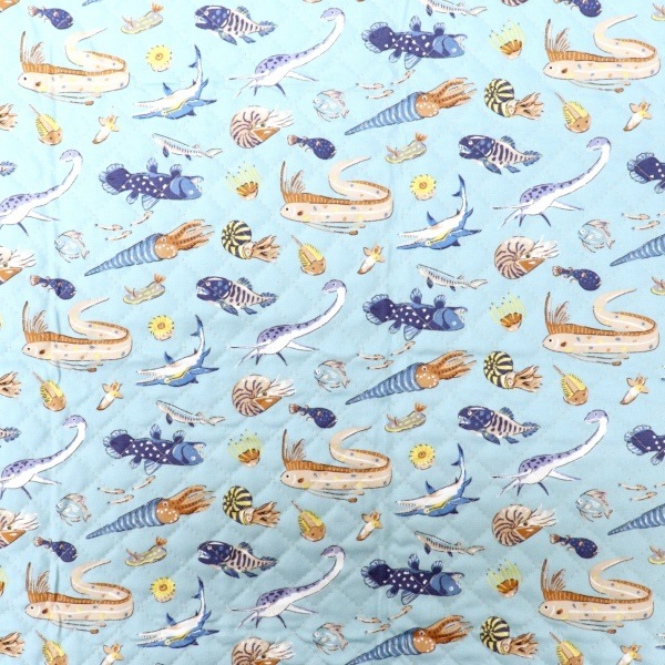 ���� ��������ʪ���å��� �ڥ���ȡ� 2026 �������� ��50cm���åȥ������� DR2413QC-5