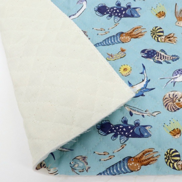 ���� ��������ʪ���å��� �ڥ���ȡ� 2026 �������� ��50cm���åȥ������� DR2413QC-5