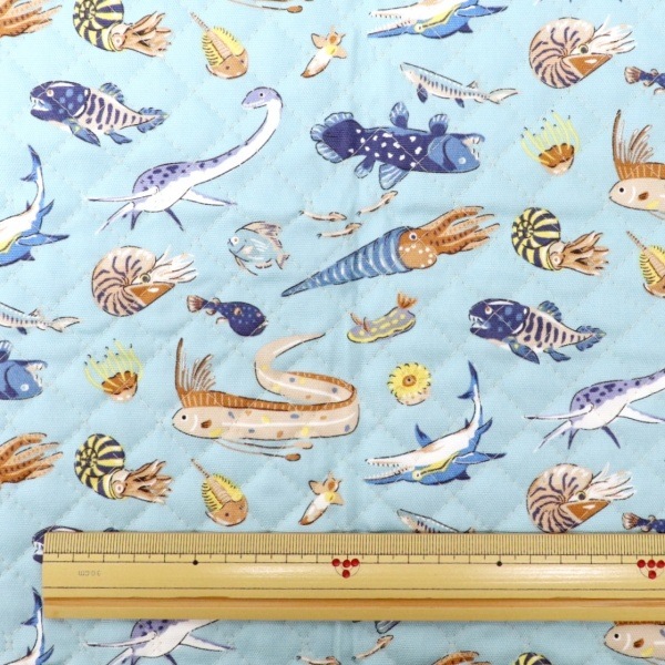 ���� ��������ʪ���å��� �ڥ���ȡ� 2026 �������� ��50cm���åȥ������� DR2413QC-5