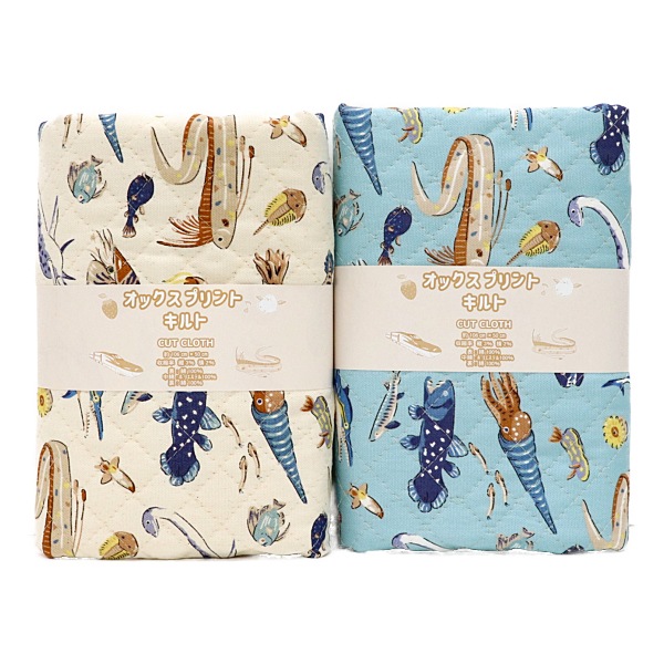 ���� ��������ʪ���å��� �ڥ���ȡ� 2026 �������� ��50cm���åȥ������� DR2413QC-5