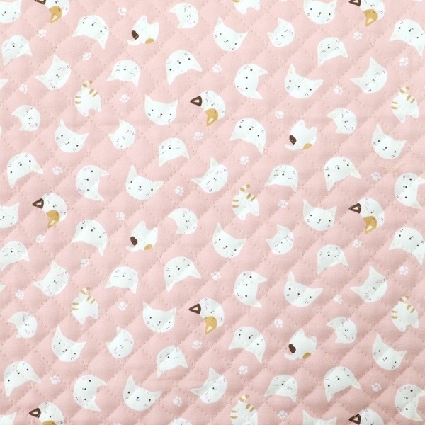 ���� ���å����ץ��� �ڥ���ȡ� 2024 �������� �ͥ��� DR2309Q-3