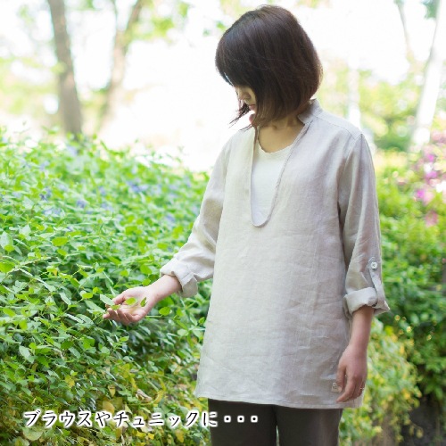 ���� ��ͥ����� DM71M