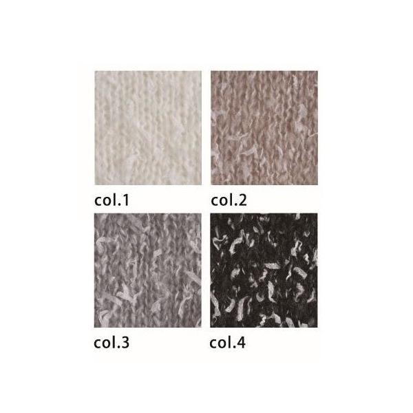 �ɥ꡼��ץ�ߥ��� �ե�å� FLAG