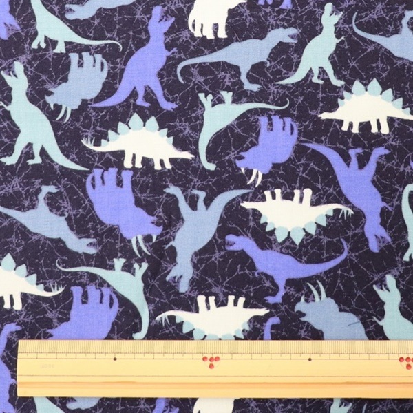 ���� ��ε�������ץ��� 850449