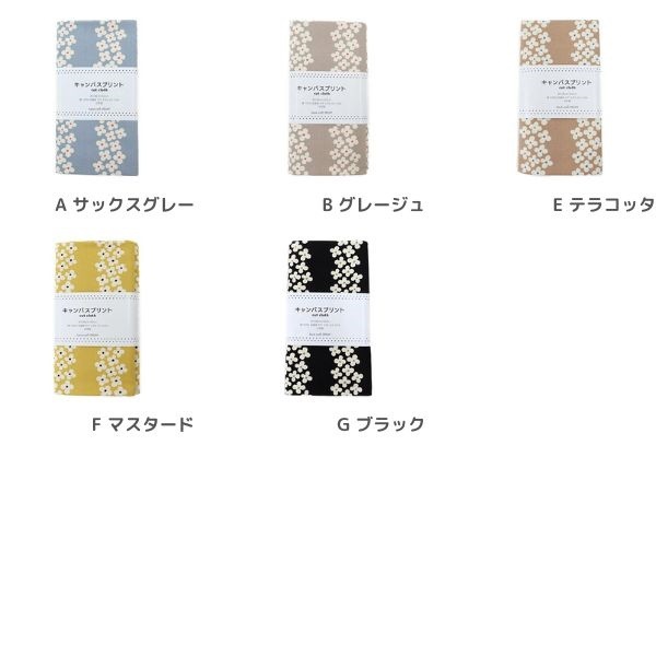 ���� �����Х��ץ��� �����������ȥ饤���� ��50cm���åȥ������� GH5896