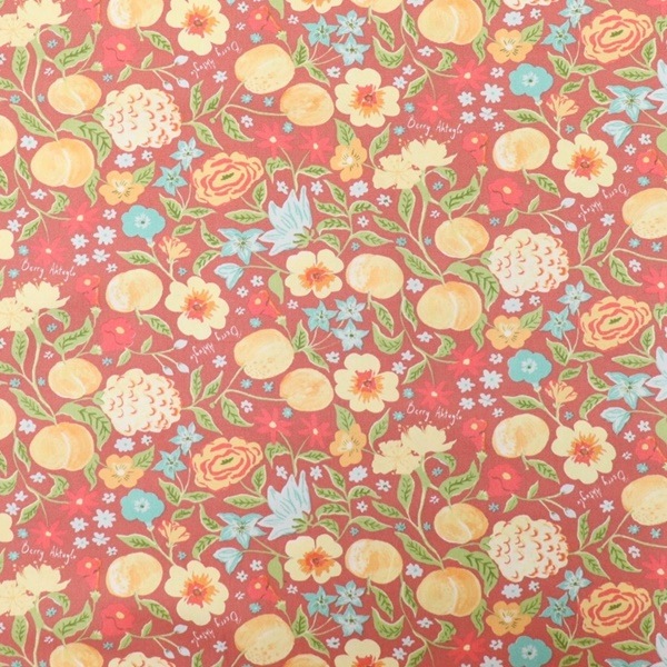 ڽʬʡ Berry Aktuglu ٥꡼ȥ åץ ץꥳåȥ 50cmåȥ DRC61400-1 ھOK