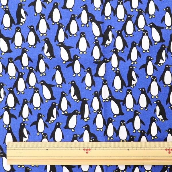  ֥ɥץ ڥ󥮥  50cmåȥ 8504-59