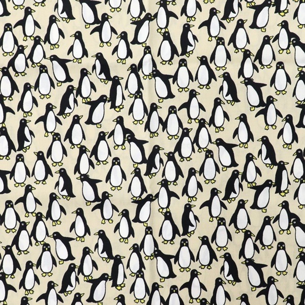  ֥ɥץ ڥ󥮥  50cmåȥ 8504-59