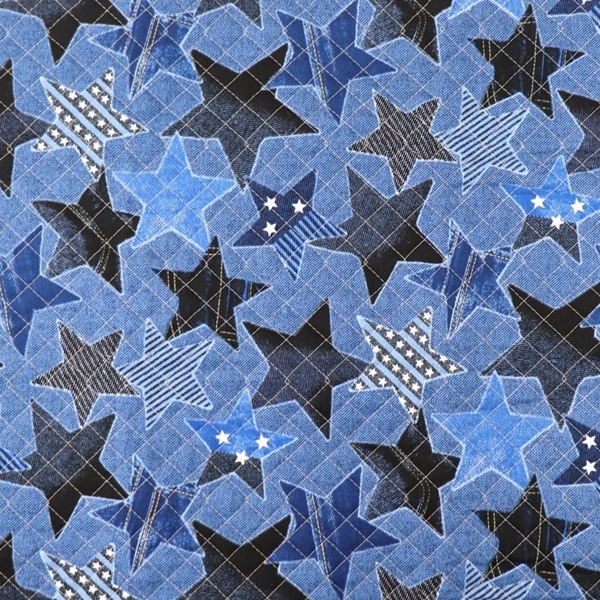22fabric8th生地オーダー 生地 恐竜オックス 2025 入園入学 【50cmカットクロス】 DR2409C