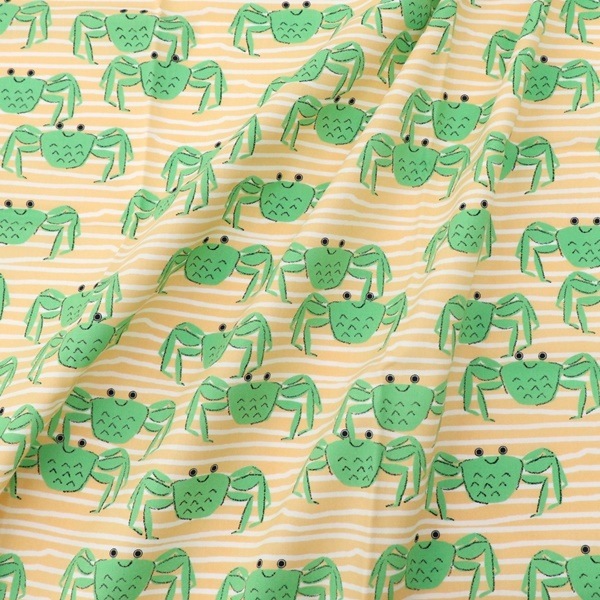  ֥ɥץ ˥˥  50cmåȥ 8504-62