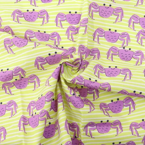  ֥ɥץ ˥˥  50cmåȥ 8504-62