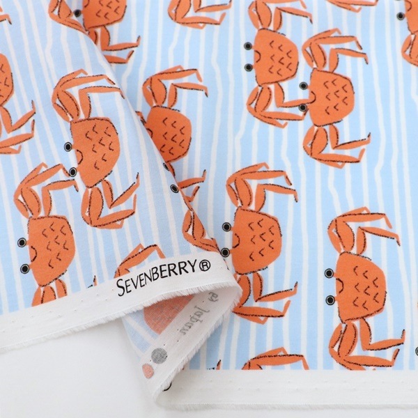  ֥ɥץ ˥˥  50cmåȥ 8504-62