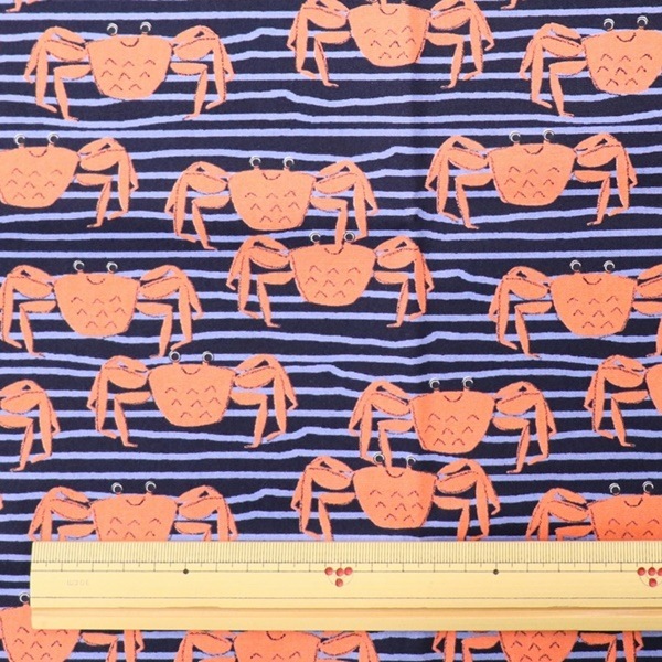  ֥ɥץ ˥˥  50cmåȥ 8504-62