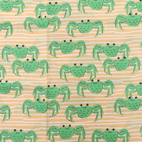  ֥ɥץ ˥˥  50cmåȥ 8504-62