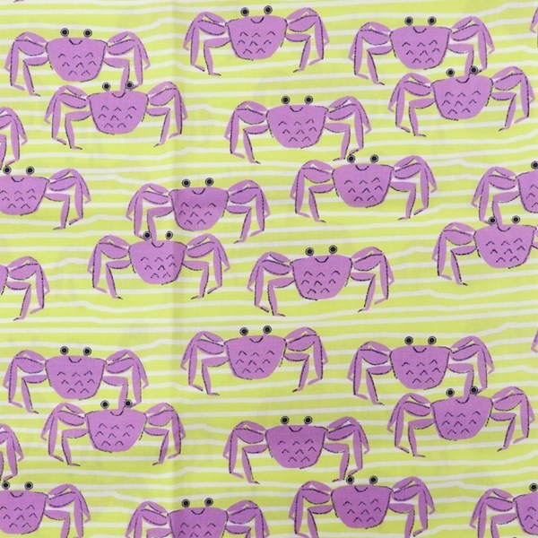  ֥ɥץ ˥˥  50cmåȥ 8504-62