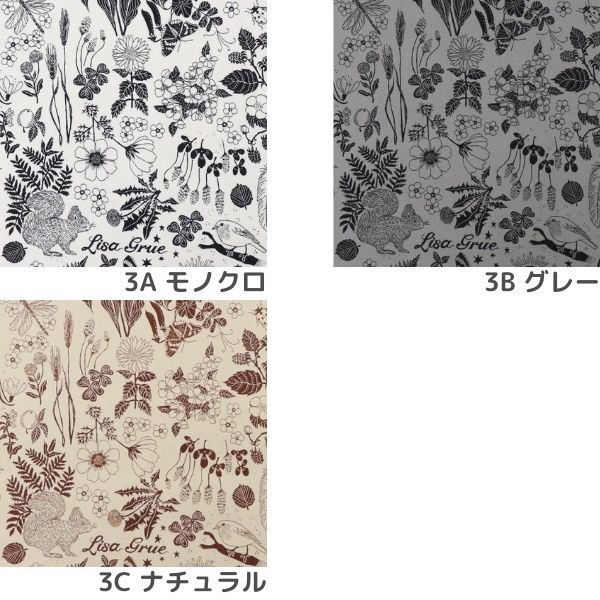水生生物のモノクロアート作品 額50✖️60cm 人物】金魚人生はキン太とともに☆ちょっとマニアックな骨格標本