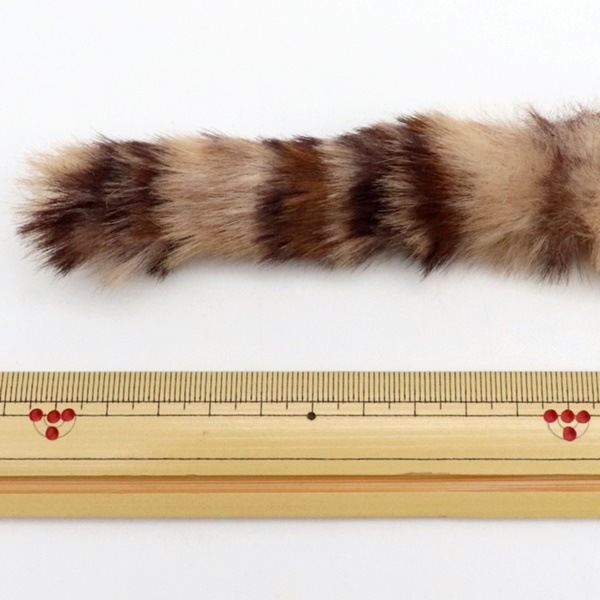 �������⡼�� ���˥ޥ��������� MUCM-06