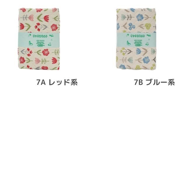 ���� �ե����å����ڥ���ȡ� 2025 �������� ��50cm���åȥ������� DR2409QC-7