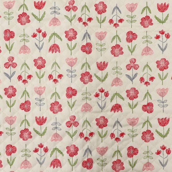 ���� �ե����å����ڥ���ȡ� 2025 �������� ��50cm���åȥ������� DR2409QC-7