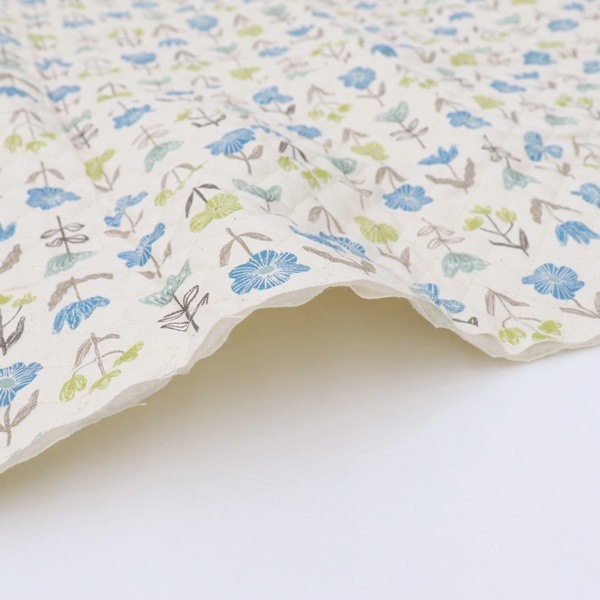 ���� �ե����å����ڥ���ȡ� 2025 �������� ��50cm���åȥ������� DR2409QC-7