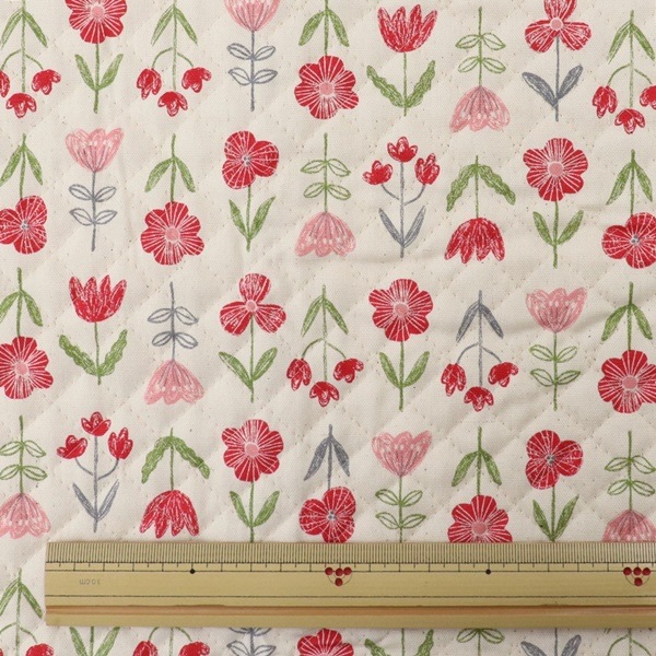 ���� �ե����å����ڥ���ȡ� 2025 �������� ��50cm���åȥ������� DR2409QC-7