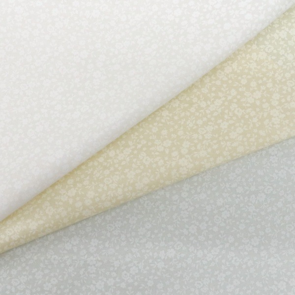 ���� ����������å��� ������ DC4800-2