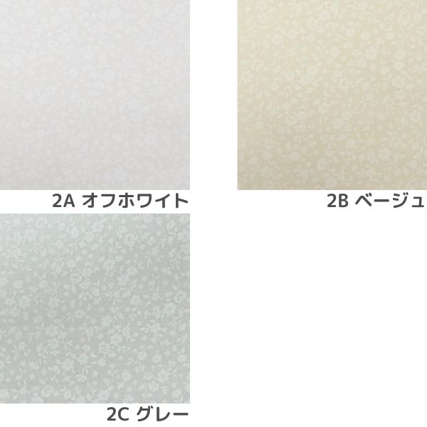 ���� ����������å��� ������ DC4800-2