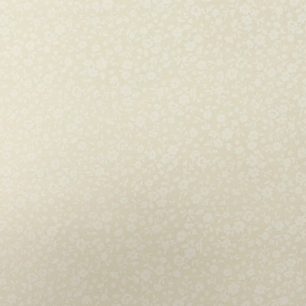 ���� ����������å��� ������ DC4800-2