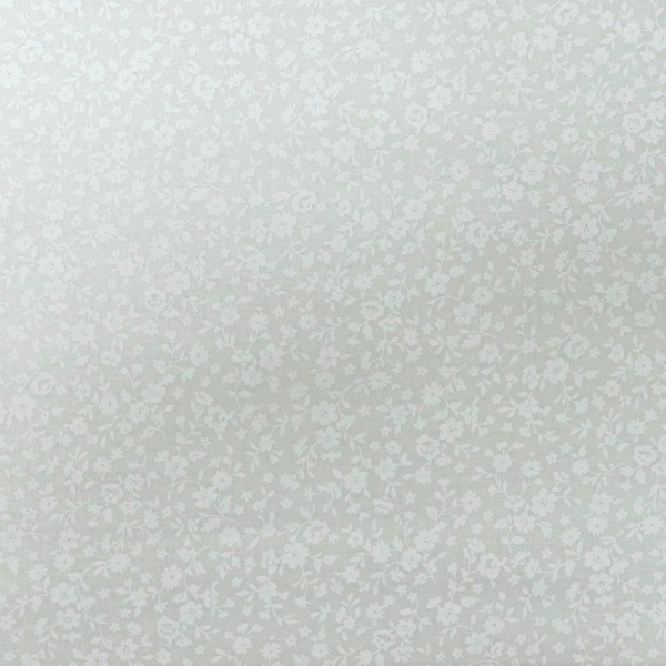 ���� ����������å��� ������ DC4800-2