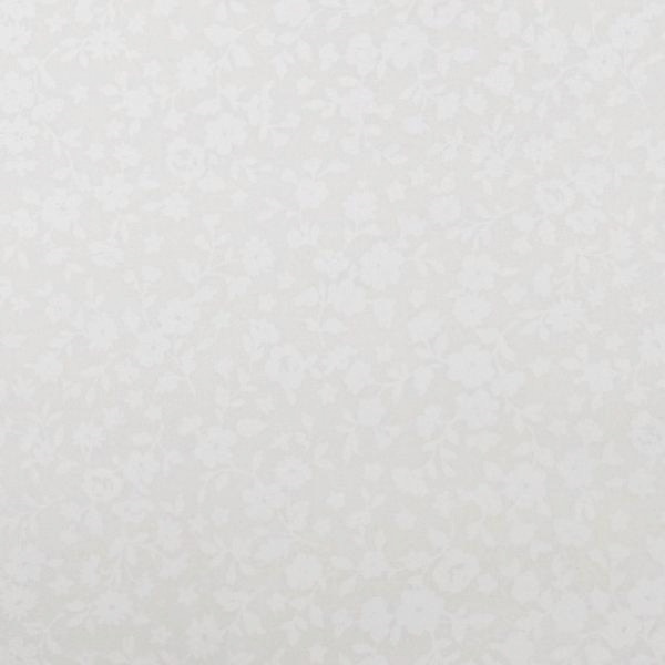 ���� ����������å��� ������ DC4800-2