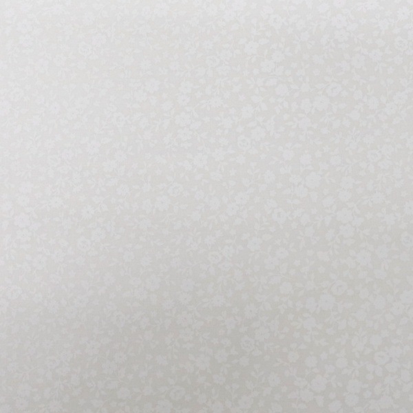 ���� ����������å��� ������ DC4800-2